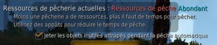 BDO tuto pêche jeter les objets inutiles